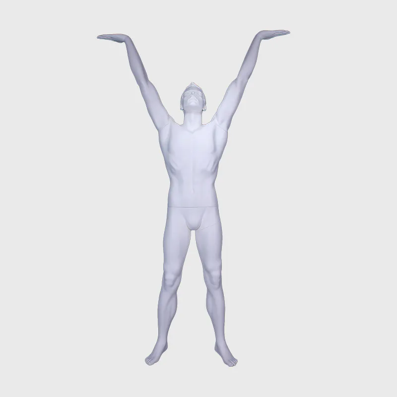 Male muscle mannequin lifting up action mannequin