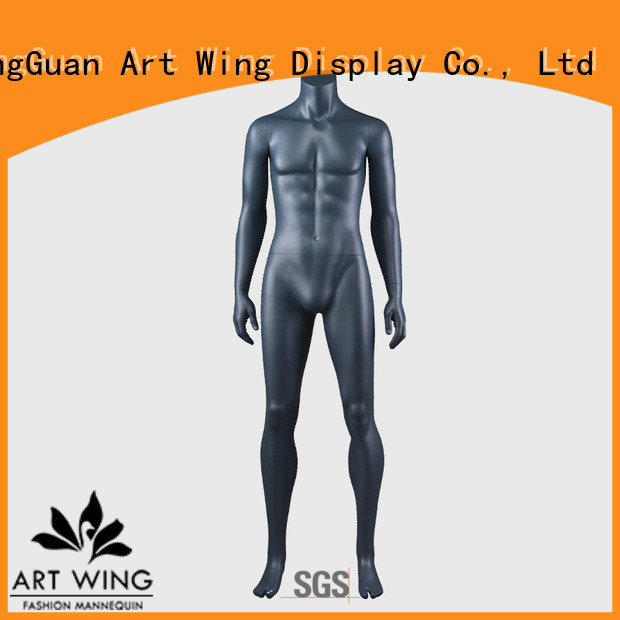 Art Wing torso muscle model company