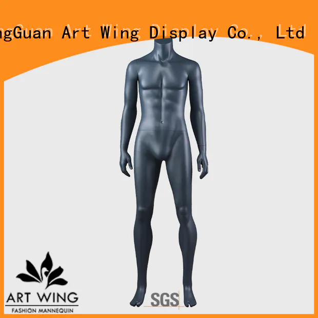 Art Wing torso muscle model company