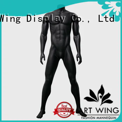 Art Wing muscle model men Suppliers